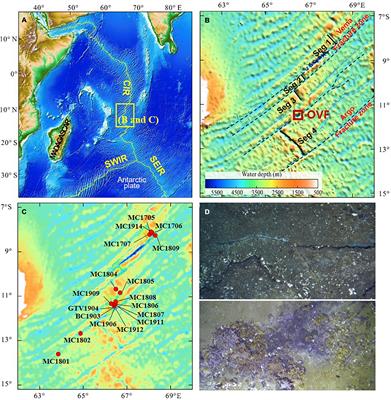 Characterization of Geochemistry in Hydrothermal Sediments From the Newly Discovered Onnuri Vent Field in the Middle Region of the Central Indian Ridge